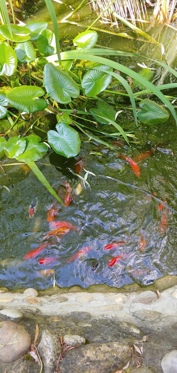 Hiša Goričica, Sveti Ivan Zelina, 470m2