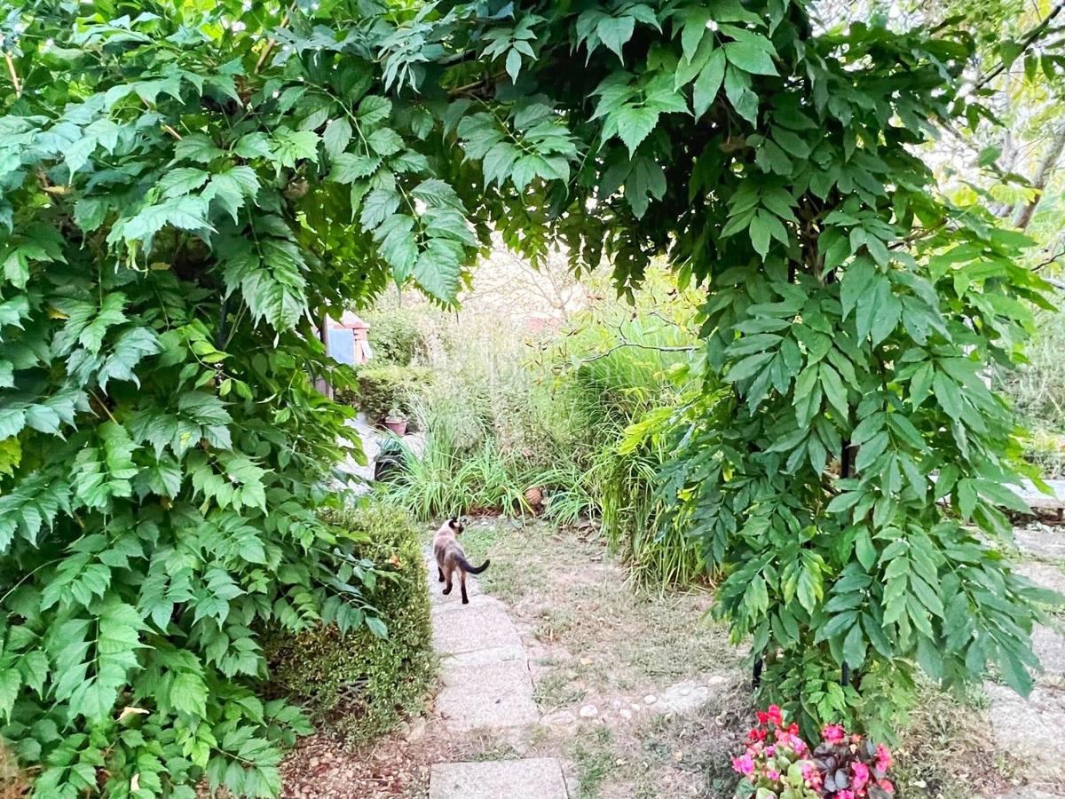 Hiša Goričica, Sveti Ivan Zelina, 470m2