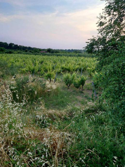 Zazidljivo zemljišče Benkovac, 1.871m2