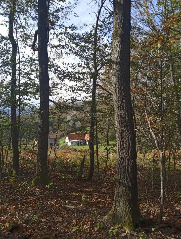 Hiša Tušilović, Karlovac - Okolica, 136m2