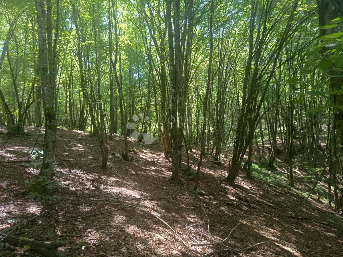 Kmetijsko zemljišče Podrebar, Bosiljevo, 109.428m2