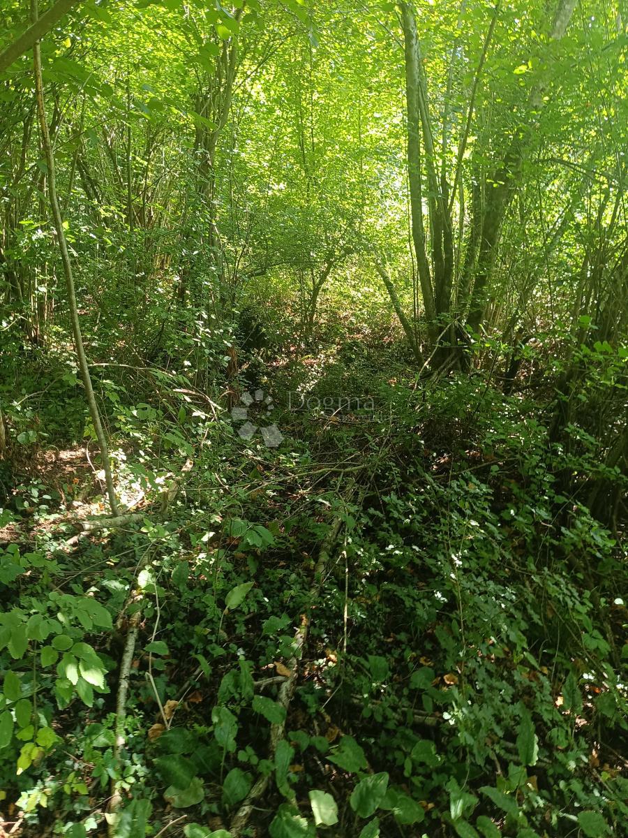 Kmetijsko zemljišče Podrebar, Bosiljevo, 109.428m2