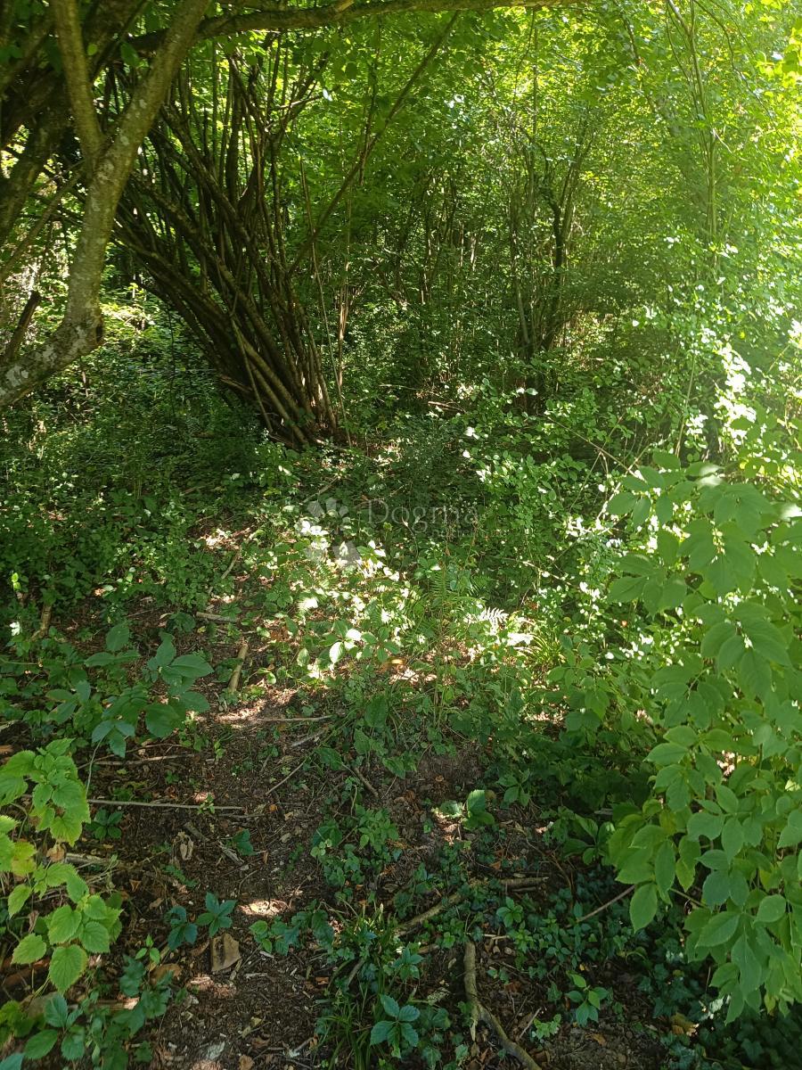 Kmetijsko zemljišče Podrebar, Bosiljevo, 109.428m2
