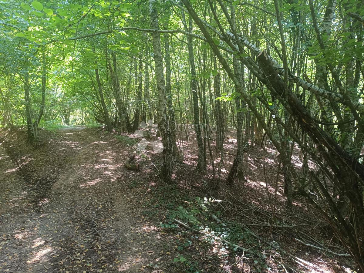 Kmetijsko zemljišče Podrebar, Bosiljevo, 109.428m2