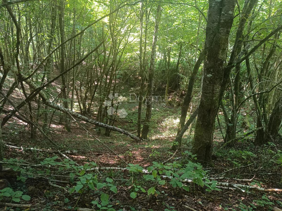 Kmetijsko zemljišče Podrebar, Bosiljevo, 109.428m2