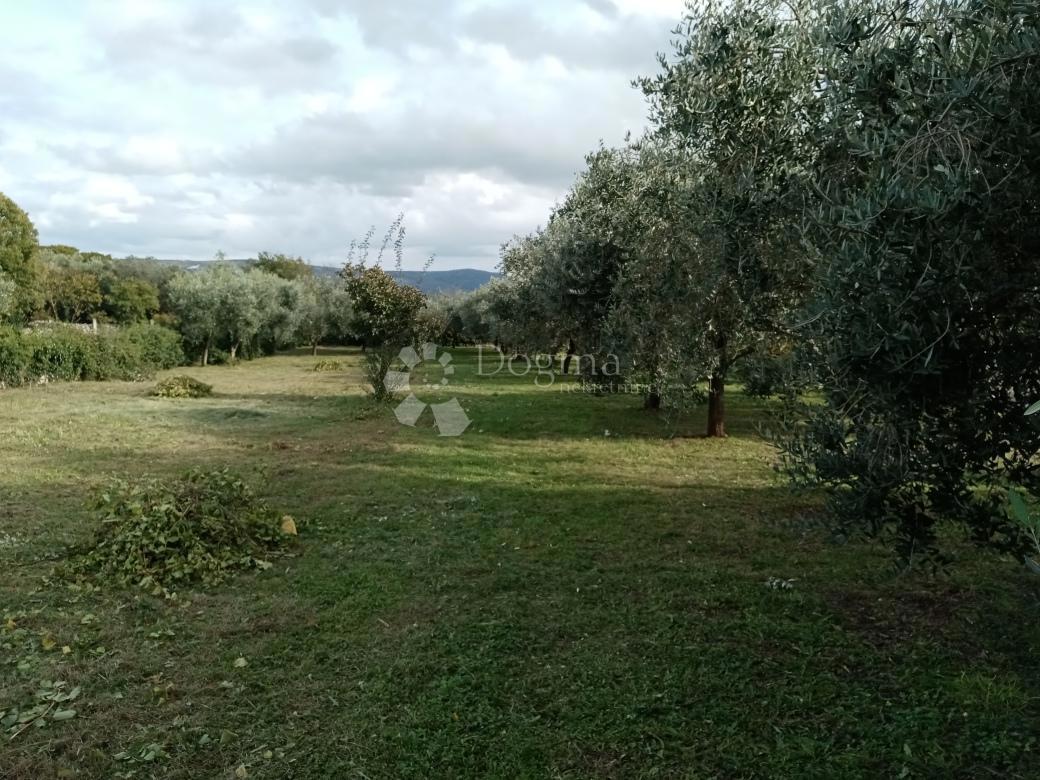 Hiša Rakalj, Marčana, 280m2