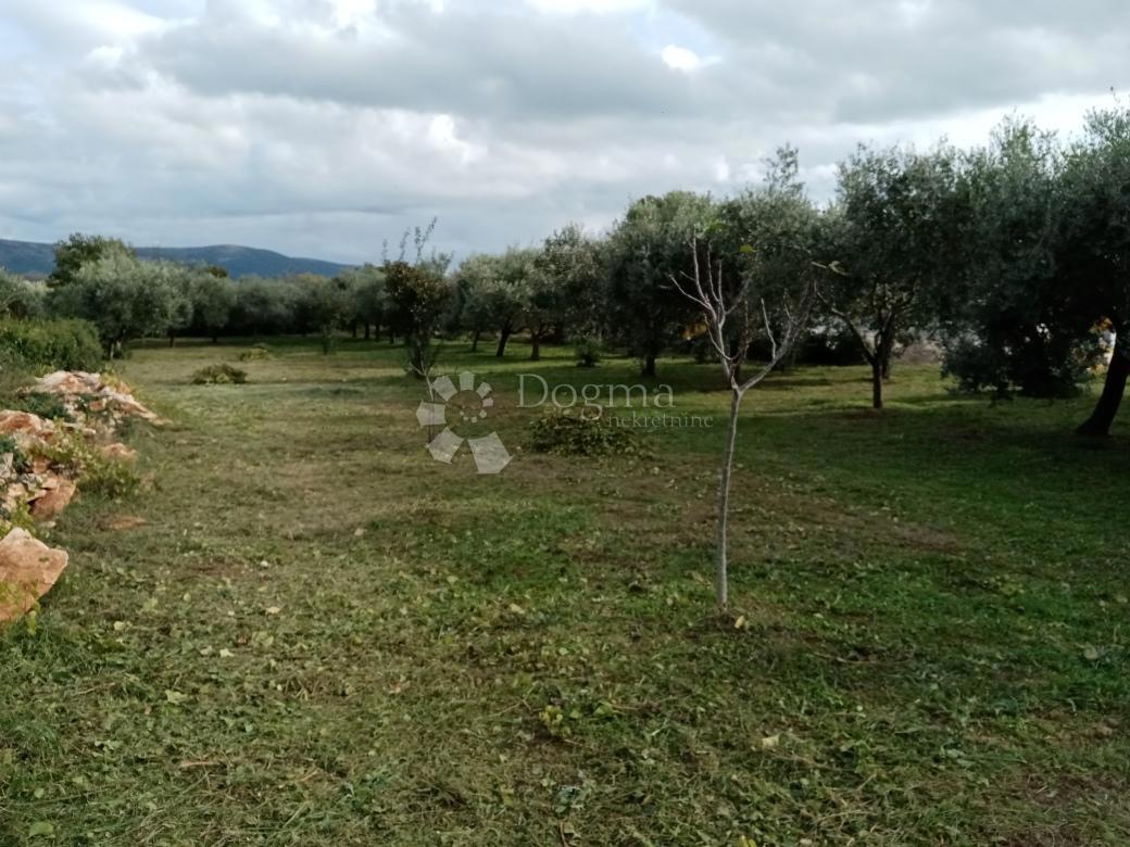 Hiša Rakalj, Marčana, 280m2