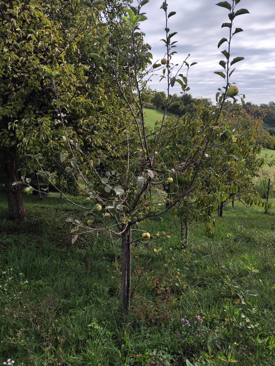 Zazidljivo zemljišče Svetonedeljski Breg, Sveta Nedelja, 639m2