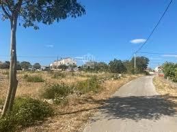 Zazidljivo zemljišče Pridraga, Novigrad, 726m2