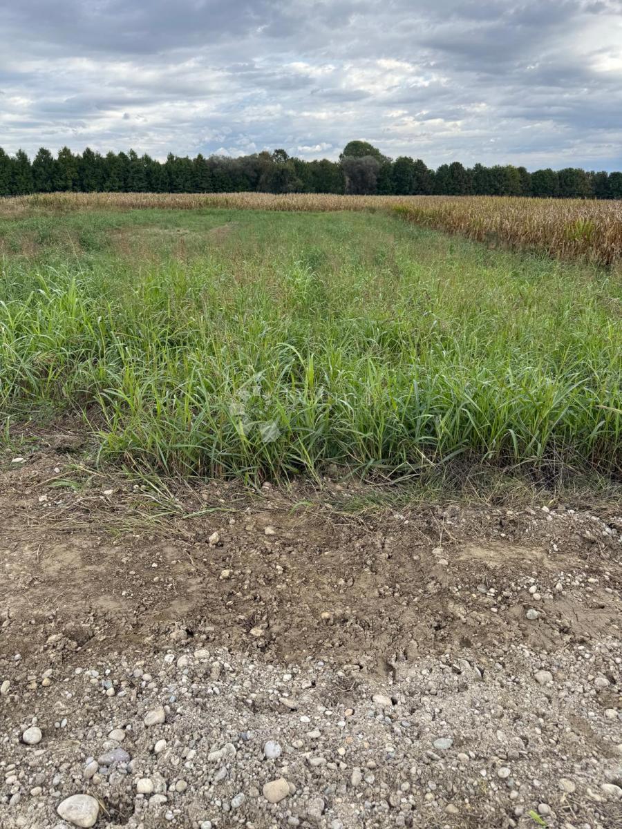 Kmetijsko zemljišče Jalkovec, Varaždin - Okolica, 2.135m2