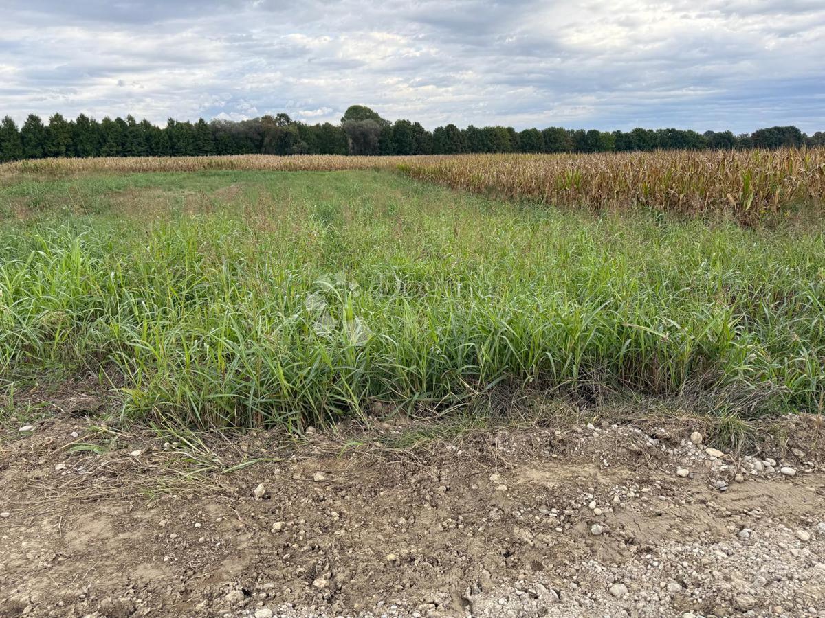 Kmetijsko zemljišče Jalkovec, Varaždin - Okolica, 2.135m2