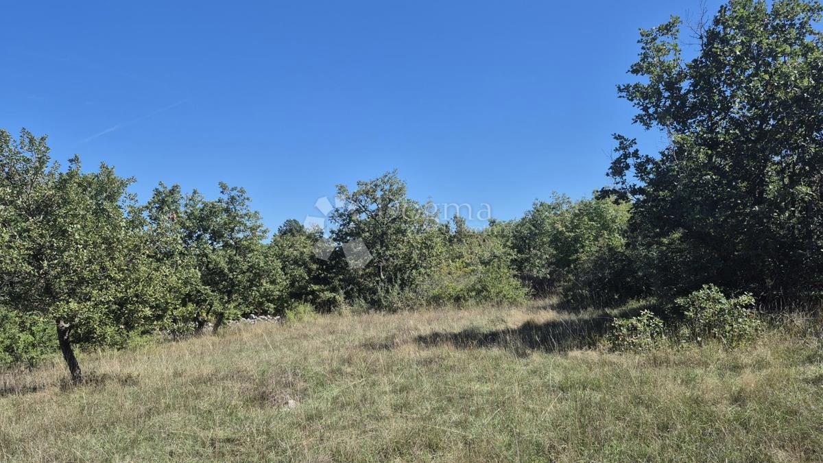 Kmetijsko zemljišče Čabrunići, Svetvinčenat, 2.913m2