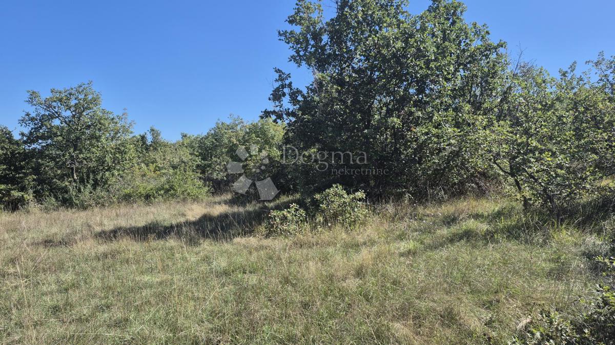 Kmetijsko zemljišče Čabrunići, Svetvinčenat, 2.913m2