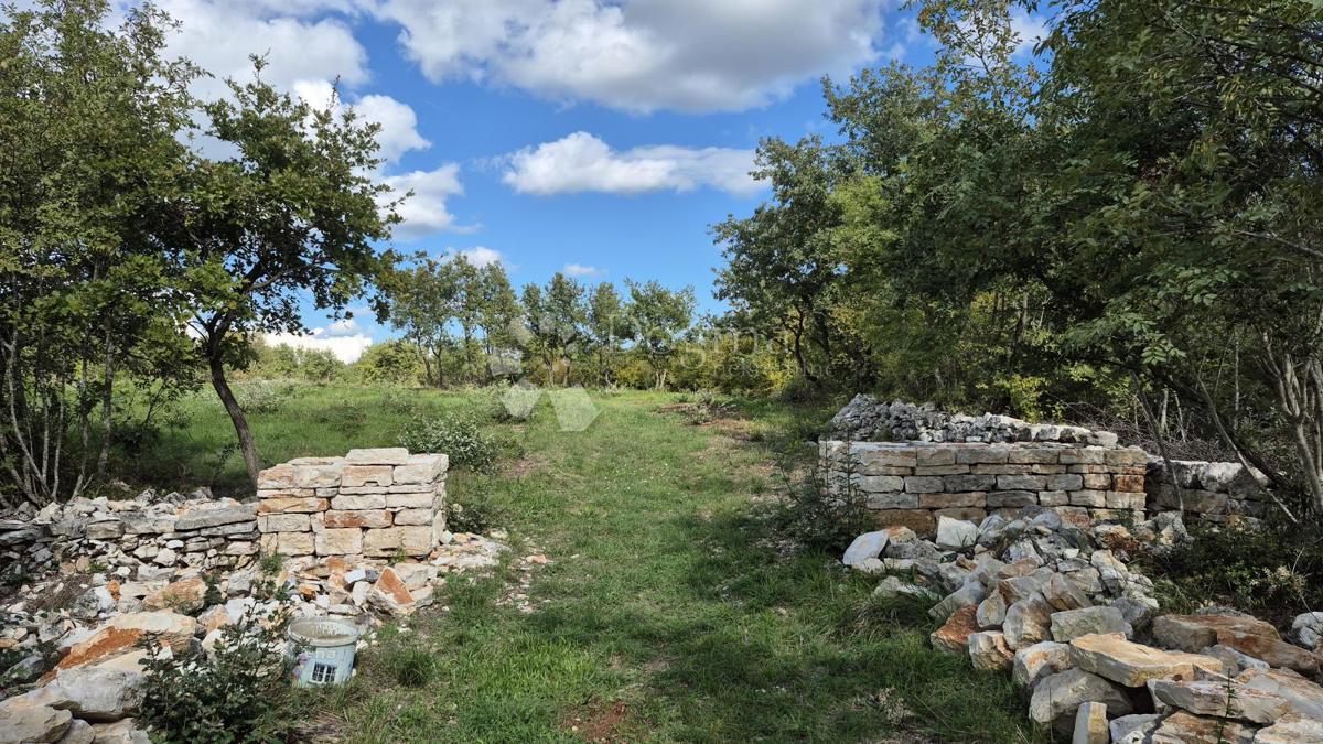 Kmetijsko zemljišče Vodnjan, 7.949m2