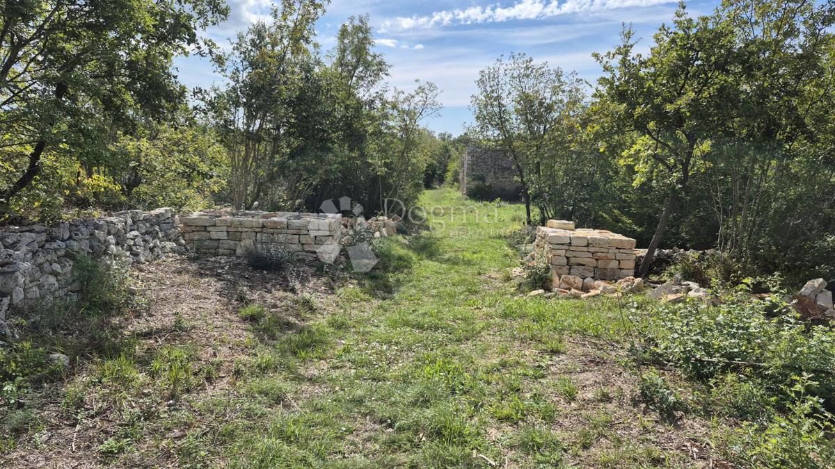 Kmetijsko zemljišče Vodnjan, 7.949m2