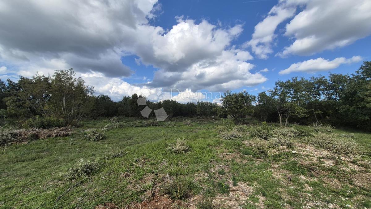 Kmetijsko zemljišče Vodnjan, 7.949m2