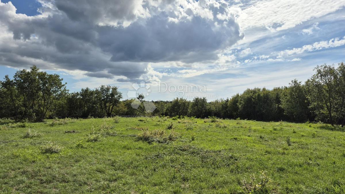 Kmetijsko zemljišče Vodnjan, 7.949m2