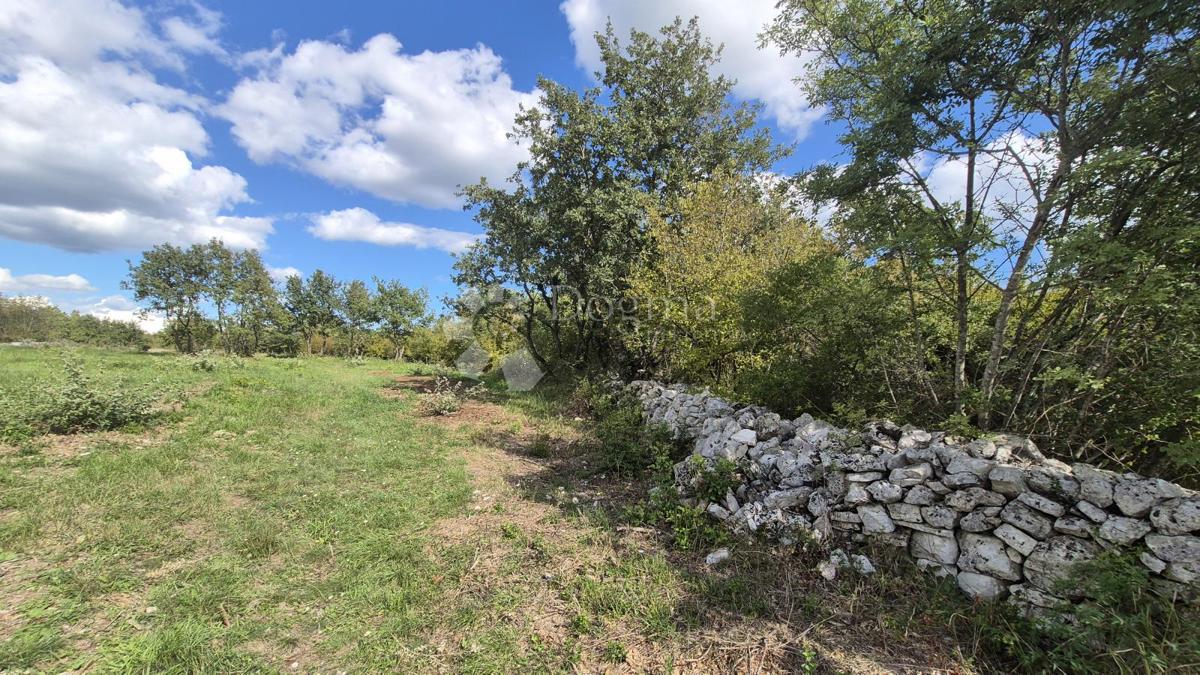 Kmetijsko zemljišče Vodnjan, 7.949m2