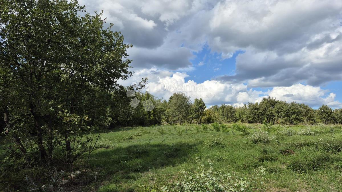 Kmetijsko zemljišče Vodnjan, 7.949m2