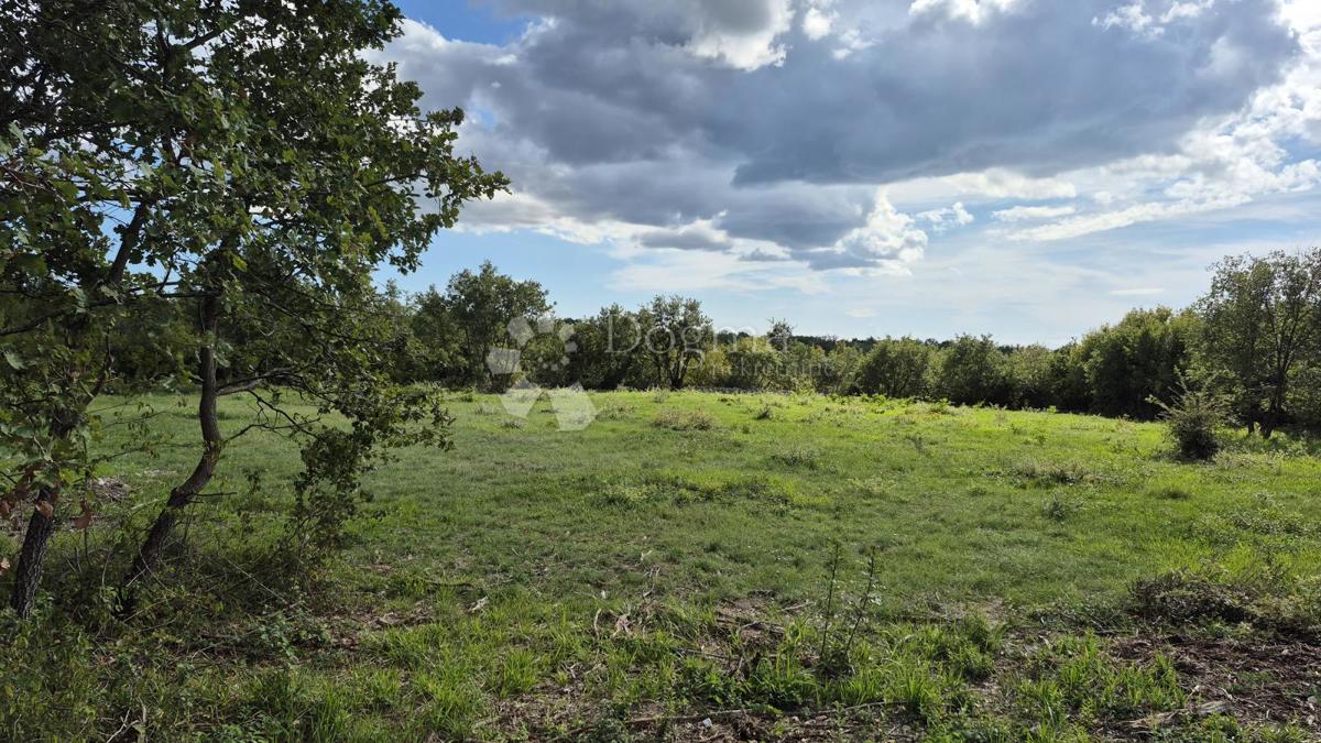 Kmetijsko zemljišče Vodnjan, 7.949m2
