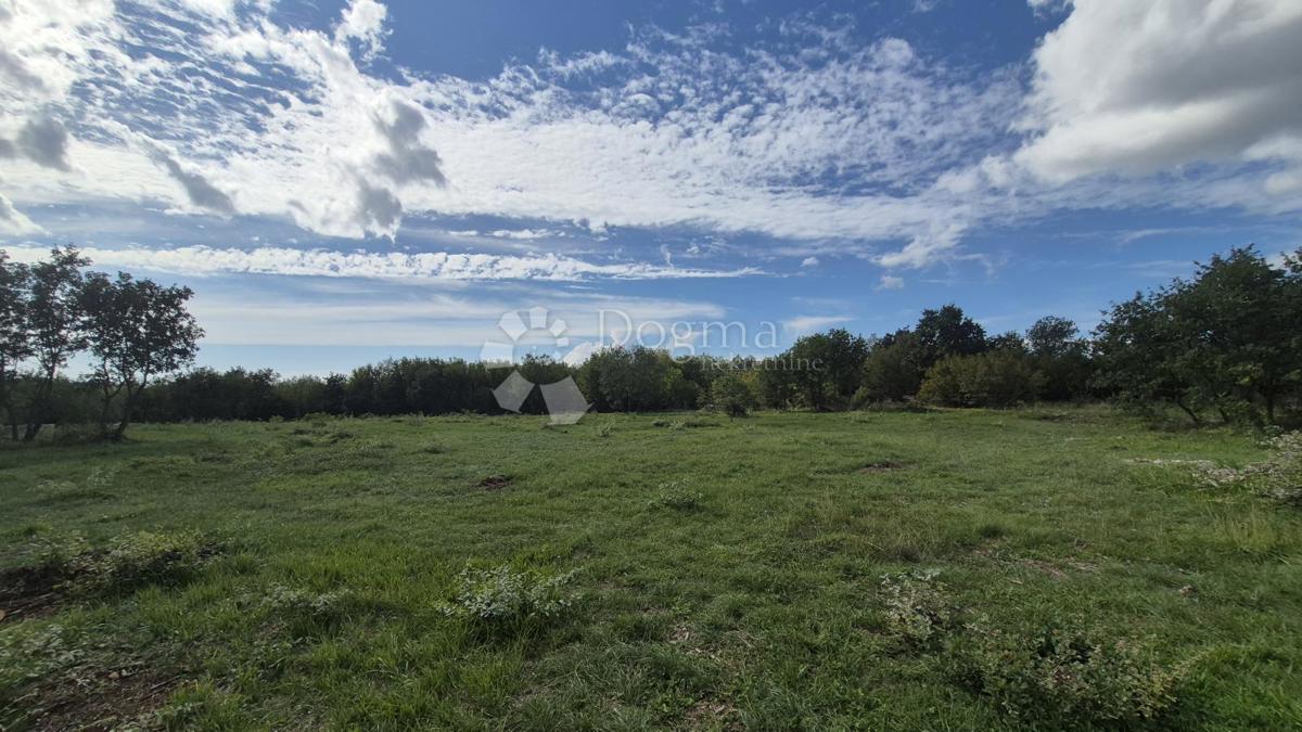 Kmetijsko zemljišče Vodnjan, 7.949m2