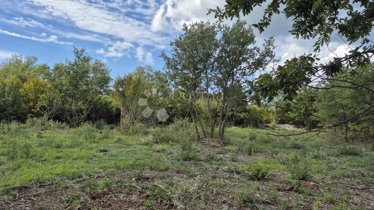 Kmetijsko zemljišče Vodnjan, 7.949m2