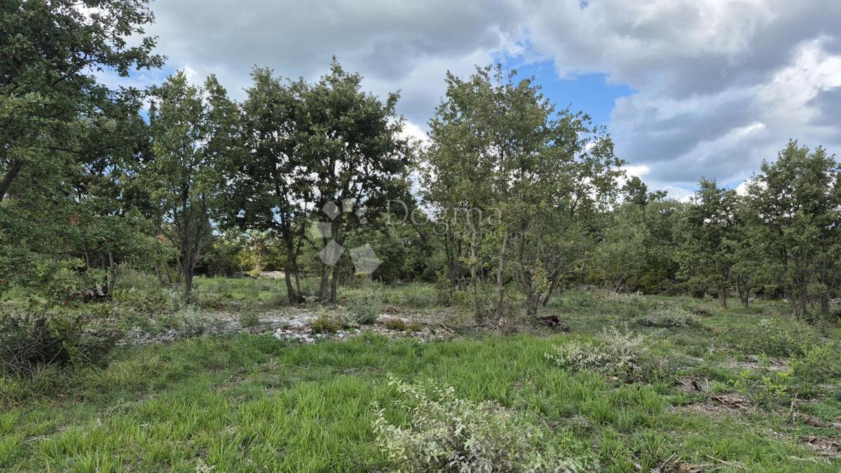 Kmetijsko zemljišče Vodnjan, 7.949m2