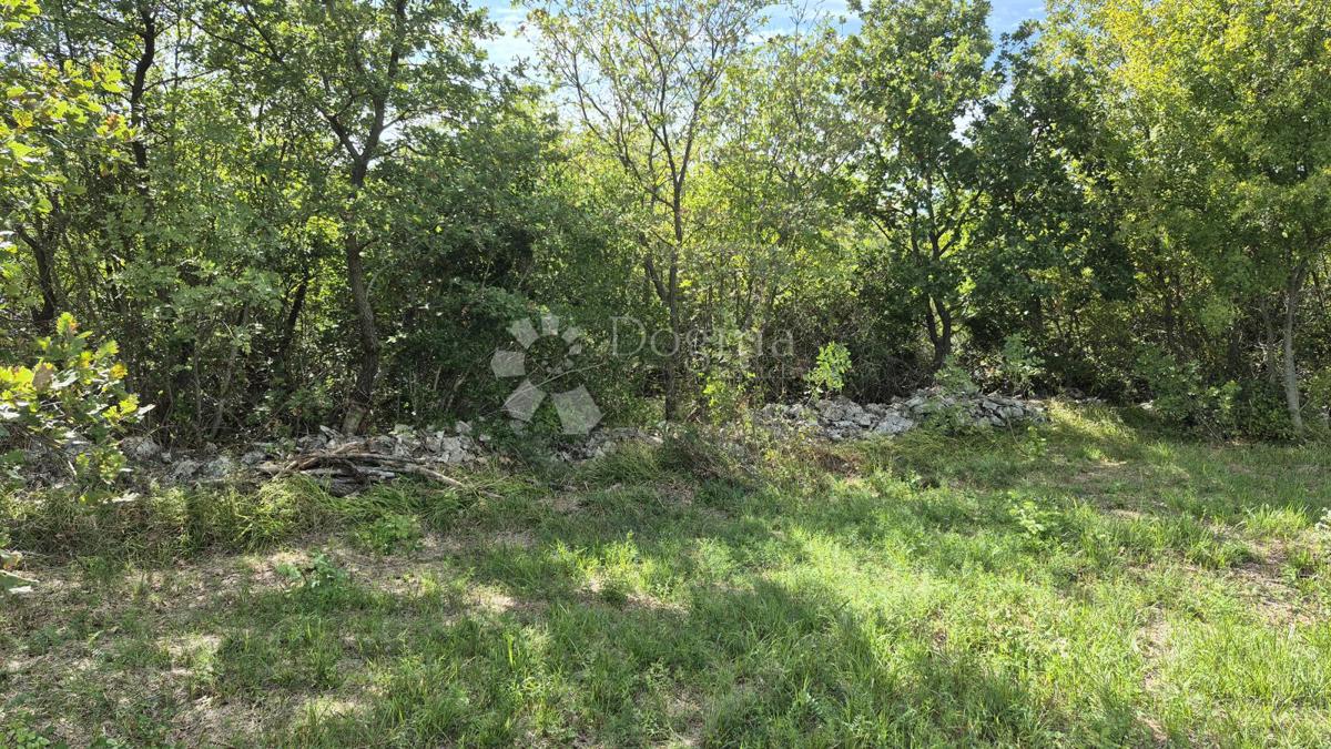 Kmetijsko zemljišče Vodnjan, 7.949m2