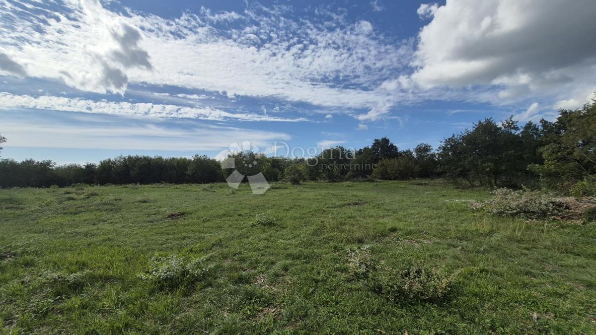 Kmetijsko zemljišče Vodnjan, 7.949m2