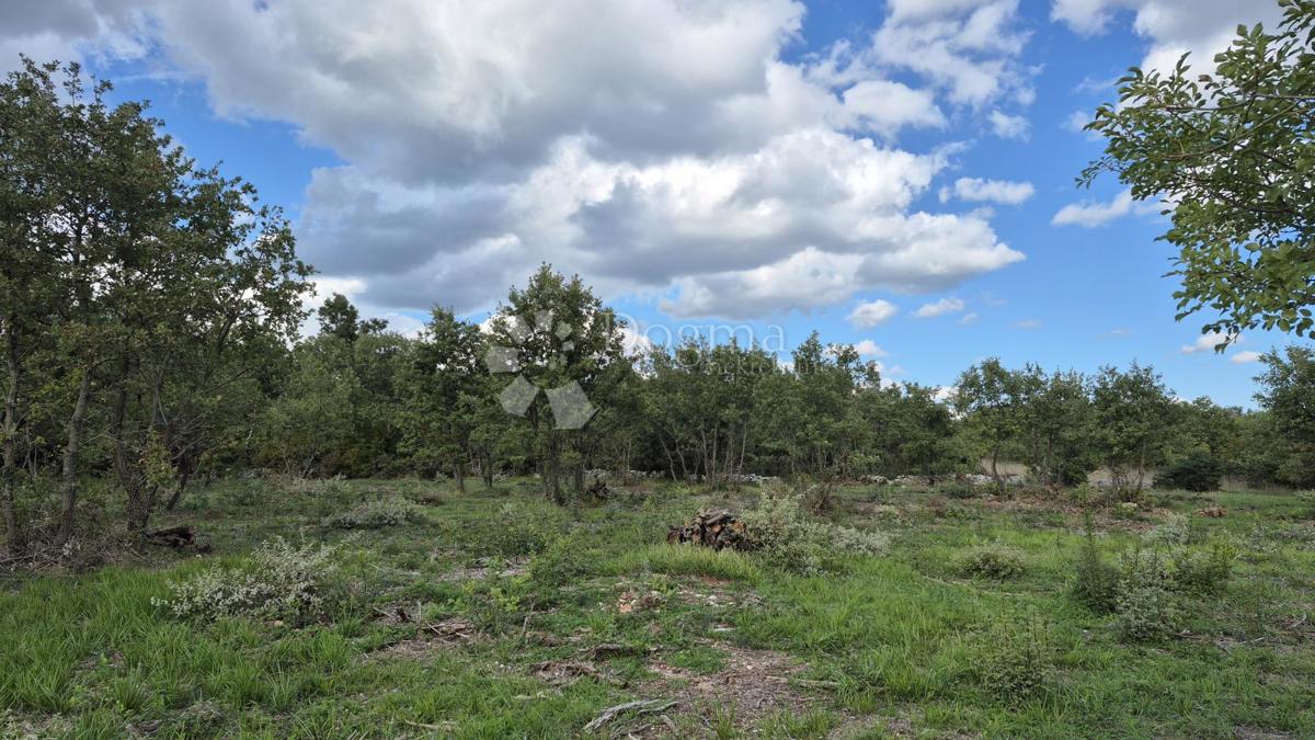 Kmetijsko zemljišče Vodnjan, 7.949m2