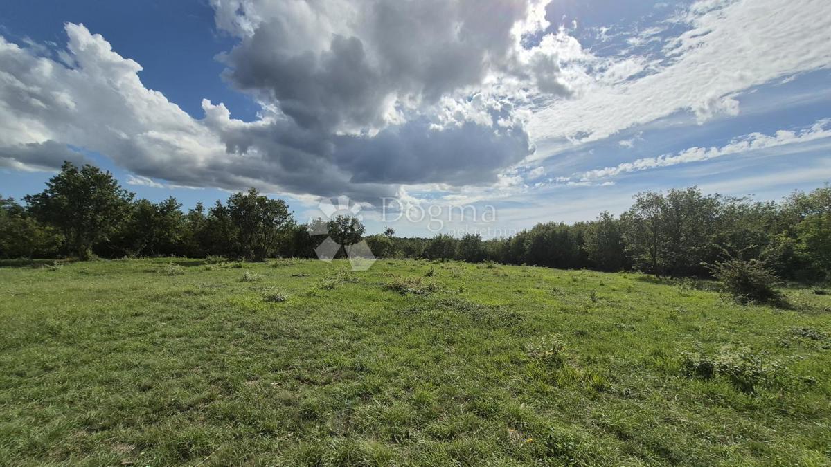 Kmetijsko zemljišče Vodnjan, 7.949m2