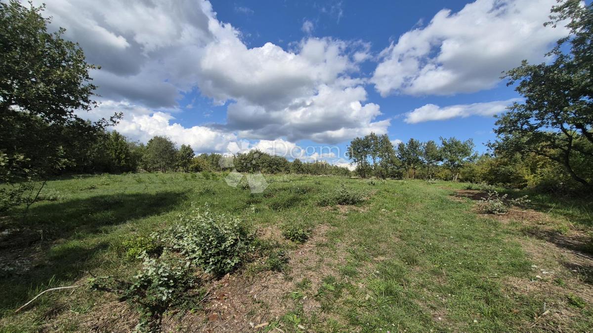 Kmetijsko zemljišče Vodnjan, 7.949m2