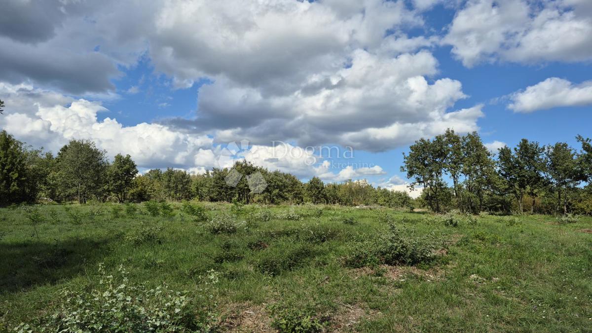 Kmetijsko zemljišče Vodnjan, 7.949m2