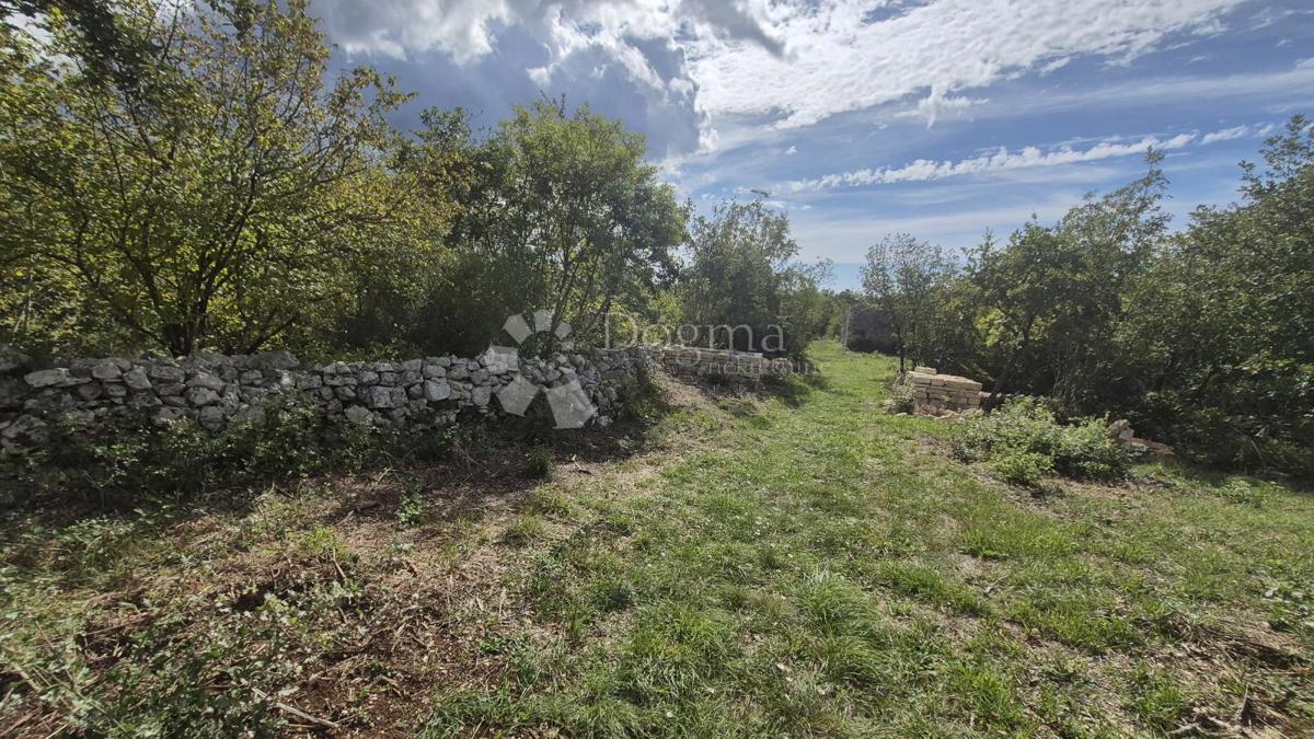 Kmetijsko zemljišče Vodnjan, 7.949m2