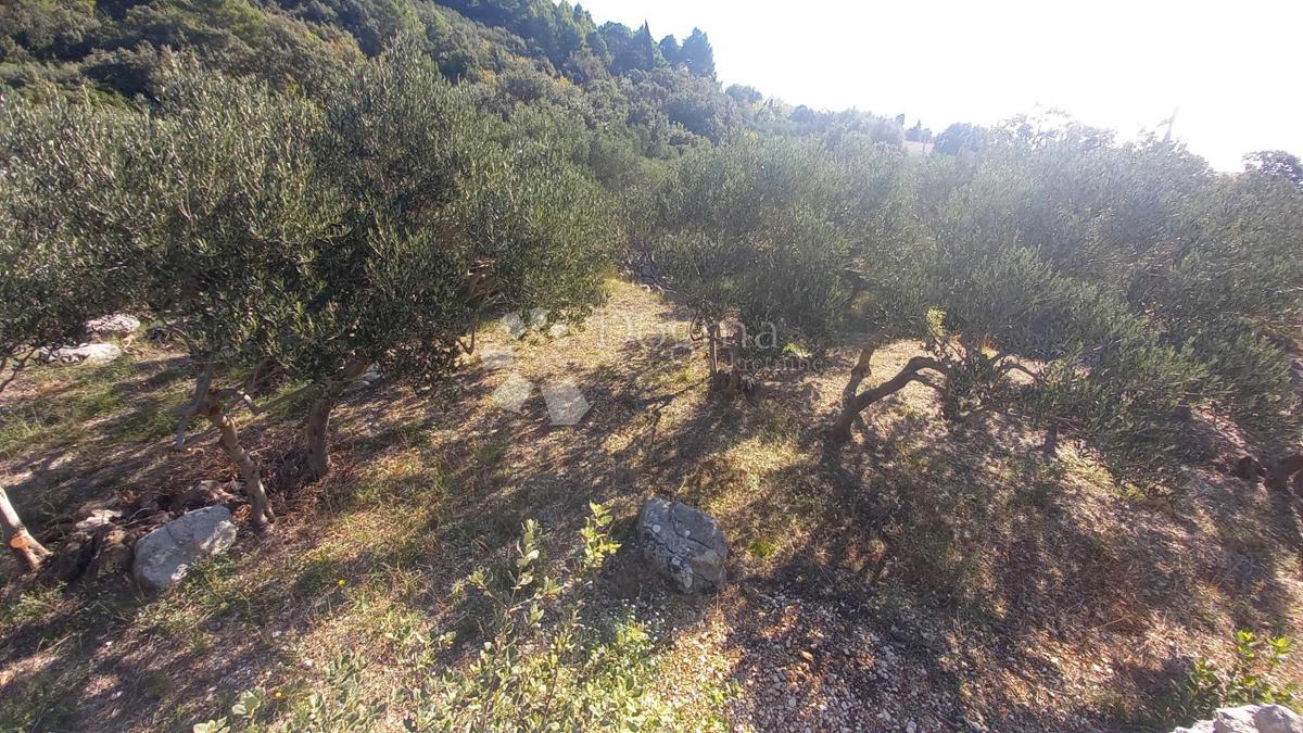 Kmetijsko zemljišče Živogošće, Podgora, 604m2