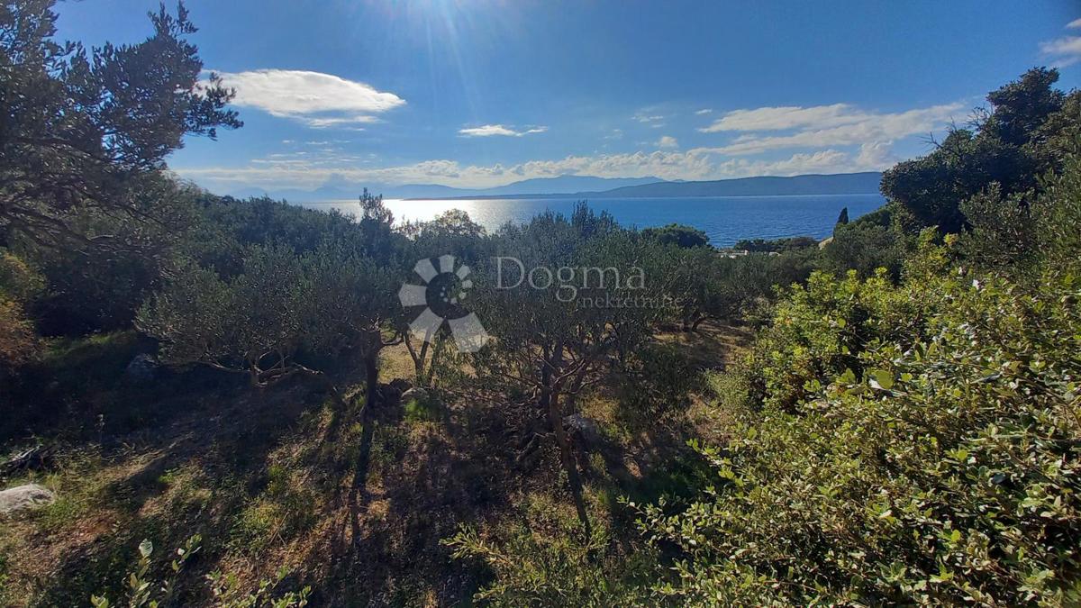 Kmetijsko zemljišče Živogošće, Podgora, 604m2