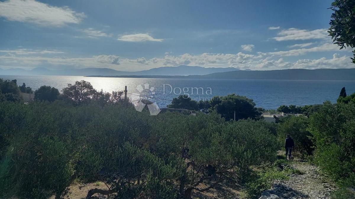 Kmetijsko zemljišče Živogošće, Podgora, 604m2