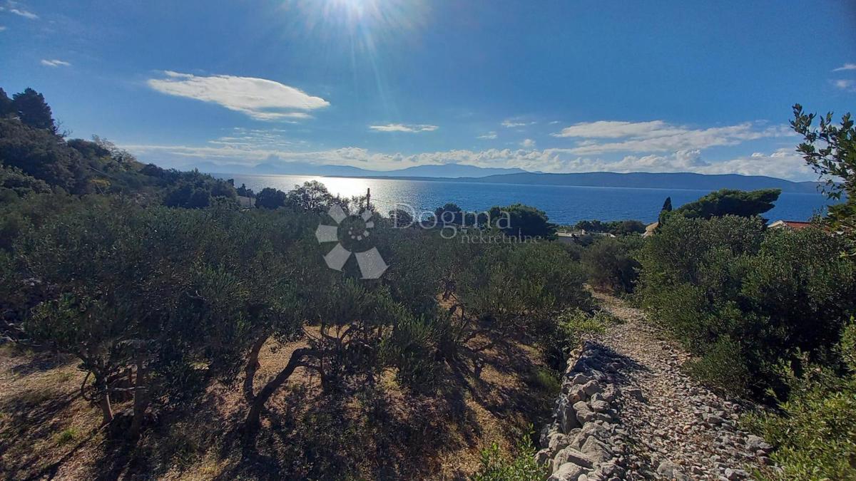 Kmetijsko zemljišče Živogošće, Podgora, 604m2