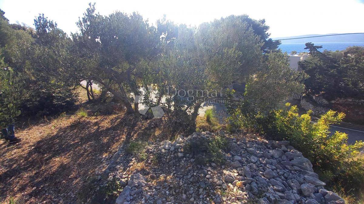 Kmetijsko zemljišče Živogošće, Podgora, 604m2