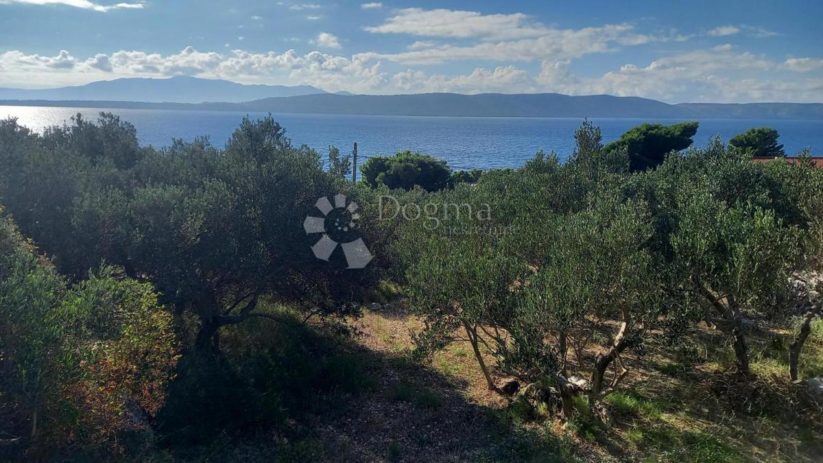 Kmetijsko zemljišče Živogošće, Podgora, 604m2