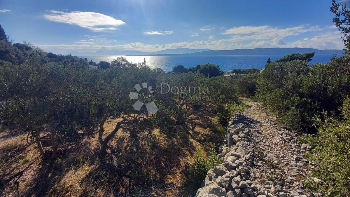 Kmetijsko zemljišče Živogošće, Podgora, 604m2