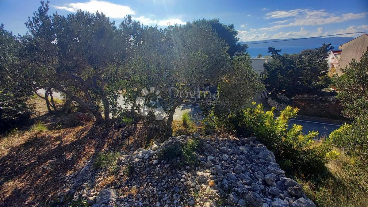 Kmetijsko zemljišče Živogošće, Podgora, 604m2