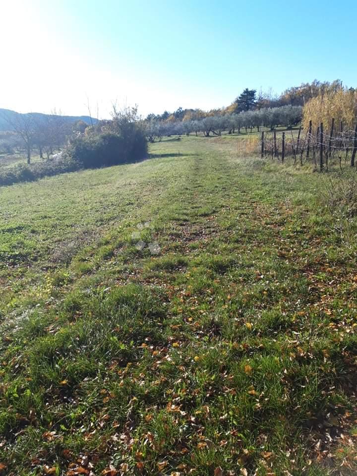 Priložnost - Kmetijsko zemljišče – Sovinjak 