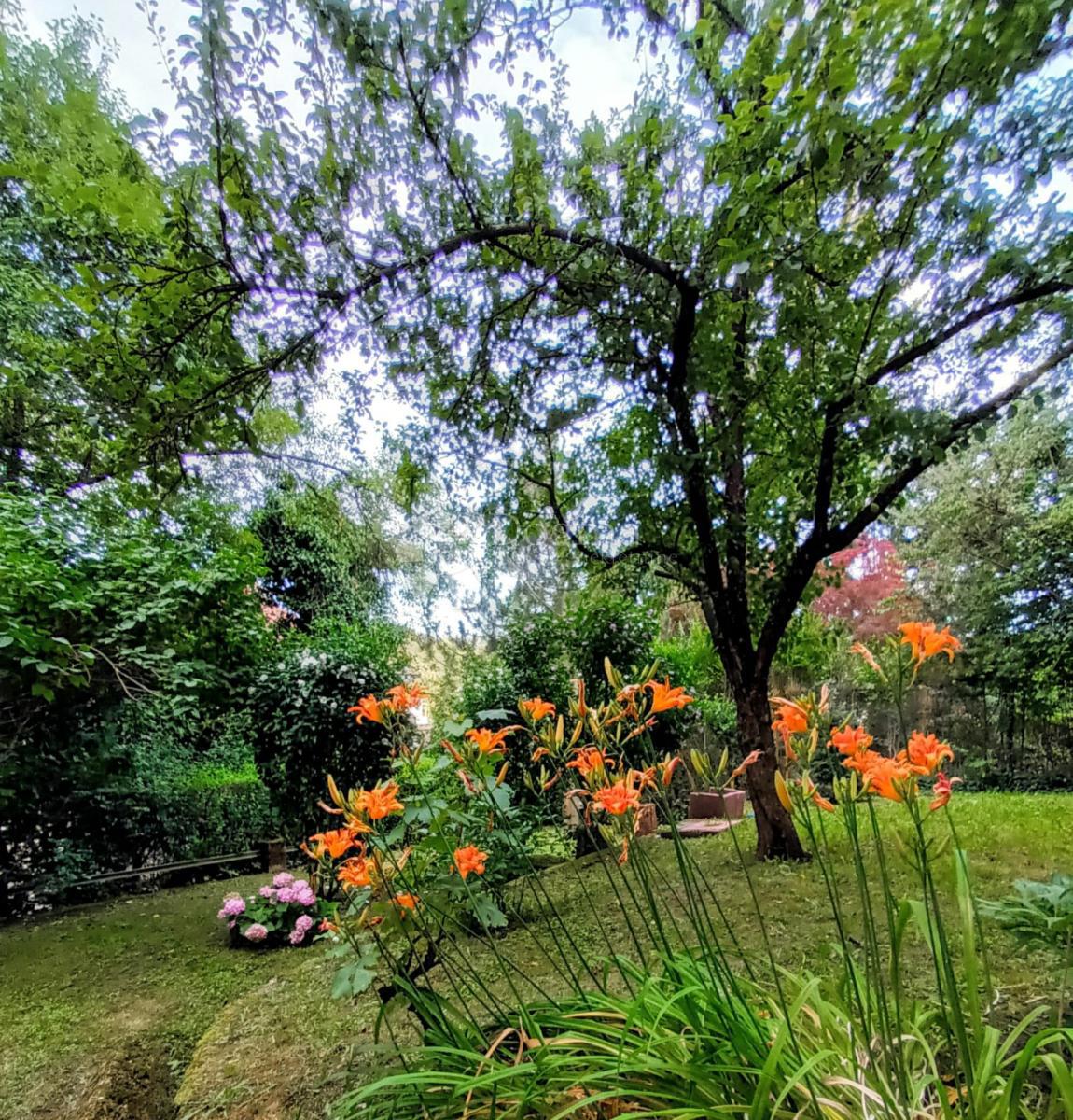 Hiša Britanac, Gornji Grad - Medveščak, 350m2