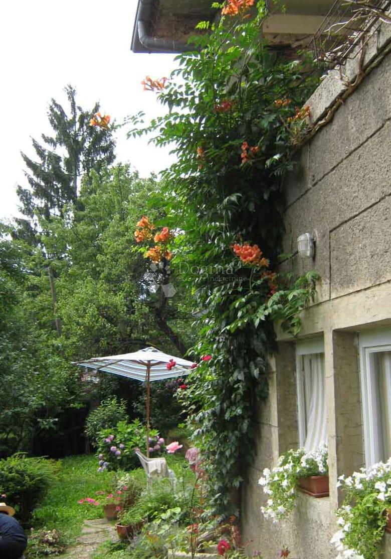 Hiša Britanac, Gornji Grad - Medveščak, 350m2