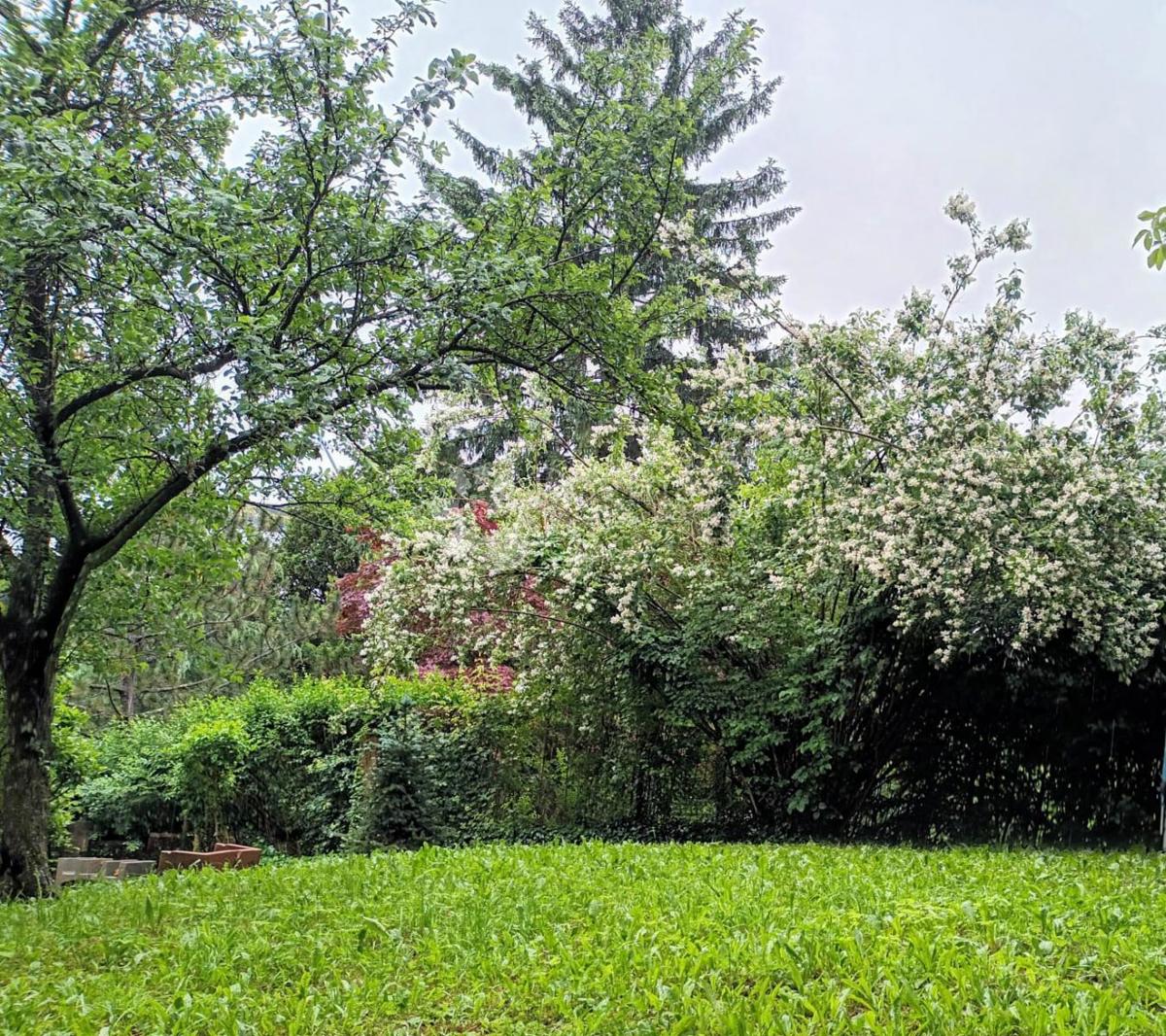 Hiša Britanac, Gornji Grad - Medveščak, 350m2