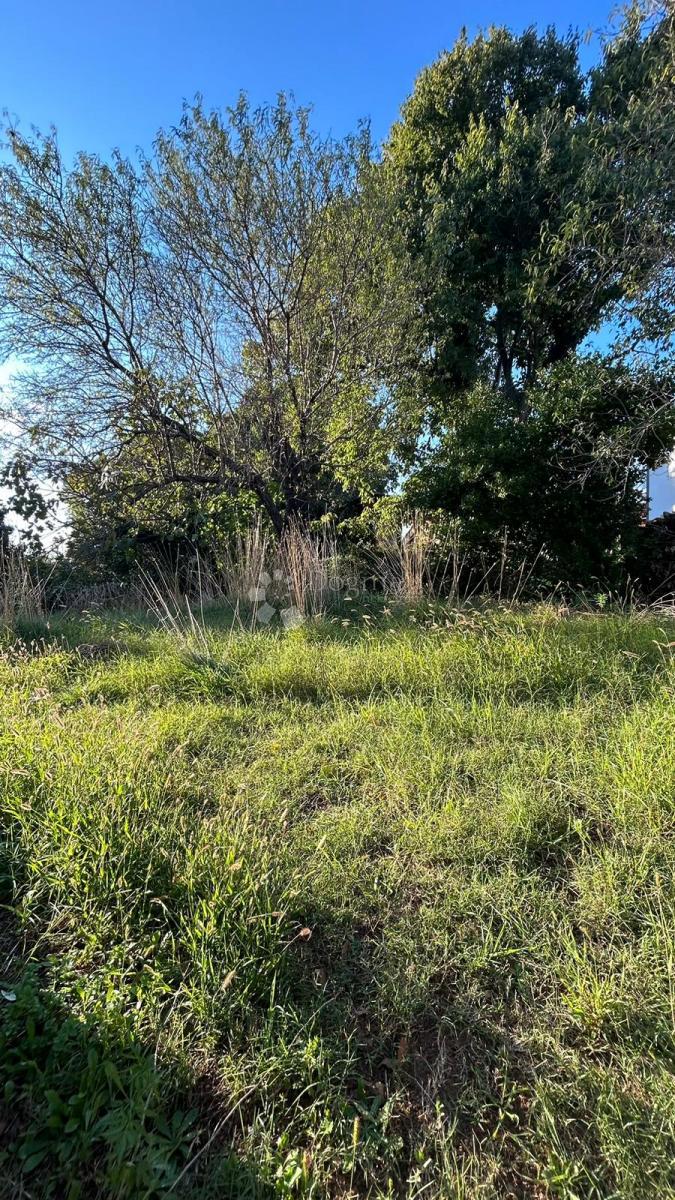 POL-SAMOSTOJNA HIŠA Z VRTOM - Šišan