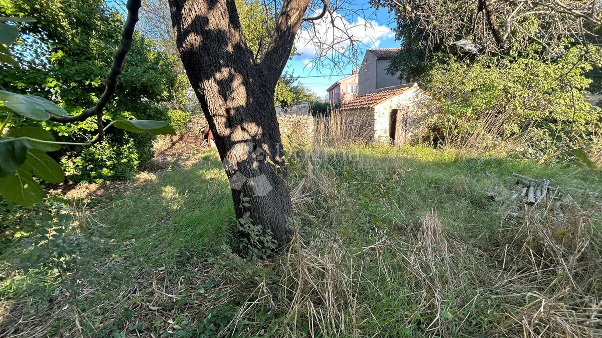 POL-SAMOSTOJNA HIŠA Z VRTOM - Šišan