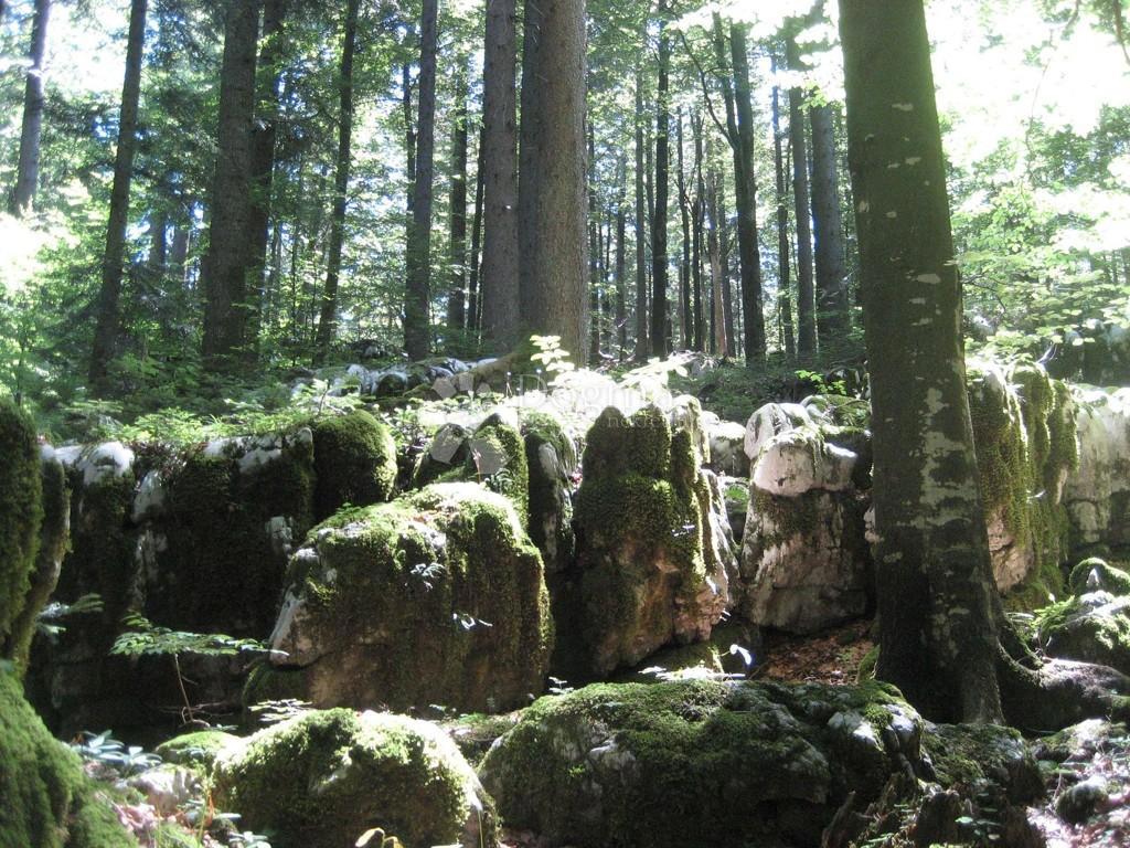 Hiša Gorani, Skrad, 116m2