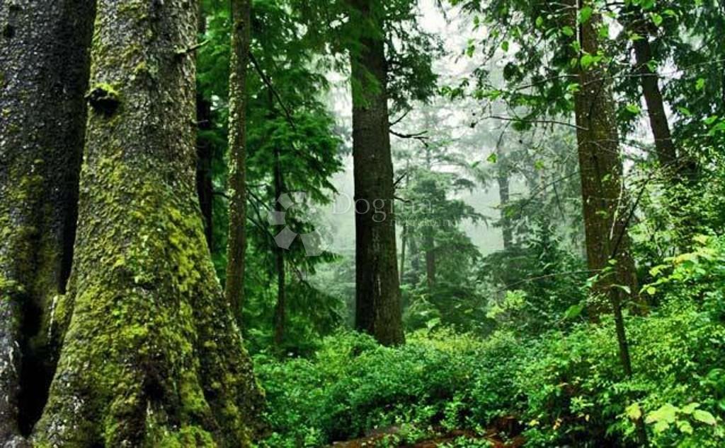 Hiša Gorani, Skrad, 116m2